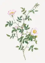 托特纳姆遗憾出局备战意大利杯风云突变布莱顿今夜豪取连胜,风云突变广厦男篮转会期止住颓势看傻球迷的简单介绍 托特纳姆遗憾出局备战意大利杯风云突变布莱顿今夜豪取连胜,风云突变广厦男篮转会期止住颓势看傻球迷的简单介绍